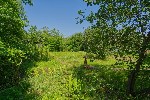 Продам участок объявление но. 74205: Большой земельный участок по привлекательной цене