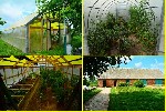 Таунхаусы объявление но. 74917: Продам дом в д.  Новые Зеленки 56 км.  от Минска