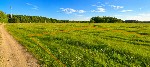 Продам участок объявление но. 76339: Земельный участок ИЖС в д.  Вечерницы — тишина,  лес и всего 30 минут от Красноярска