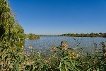 Продам участок объявление но. 74879: Земельный участок с центральными коммуникациями