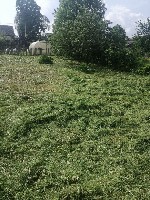 Продам квартиру объявление но. 76131: Продаю 2-х комн квартиру Беларусь г Кобрин 50 км к г Брест