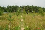 Продам участок объявление но. 44930: Продаю землю сельхозназначения в Калужской области