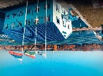Коммерческая недвижимость объявление но. 54259: Теплица зимняя от 2000 м² в аренду