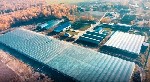 Сдам в аренду помещение объявление но. 55061: Холодильник +5 -28С, 1440 м² аренда