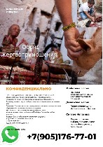 Перевозки объявление но. 57929: Приворот в Армении. Помощь в бизнесе. Консультация-Бесплатно
