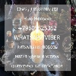 Другое объявление но. 58545: Сильный заговор белой магии на любовь Нью Мексико