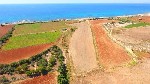 В соответствии с соглашением между кипрским и британским правительствами о принятии зон планирования в районе суверенной базы Дехелии,  эта земля теперь относится к туристическим землям.  Для получени ...