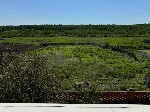 Таунхаусы объявление но. 68559: Продам Дом 196 кв.  м на участке 31 сот.